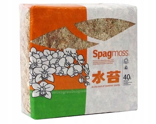 Záhradná pôda - BESGROW Novozélandský sphagnum moss SPHAGNUM 500g